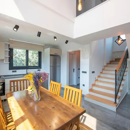 Villa Dove *